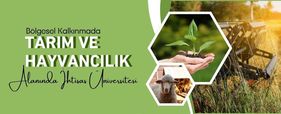 Yükseköğretim Kurulu Öncü Oldu Üniversiteler Enerji İçin Birleşti